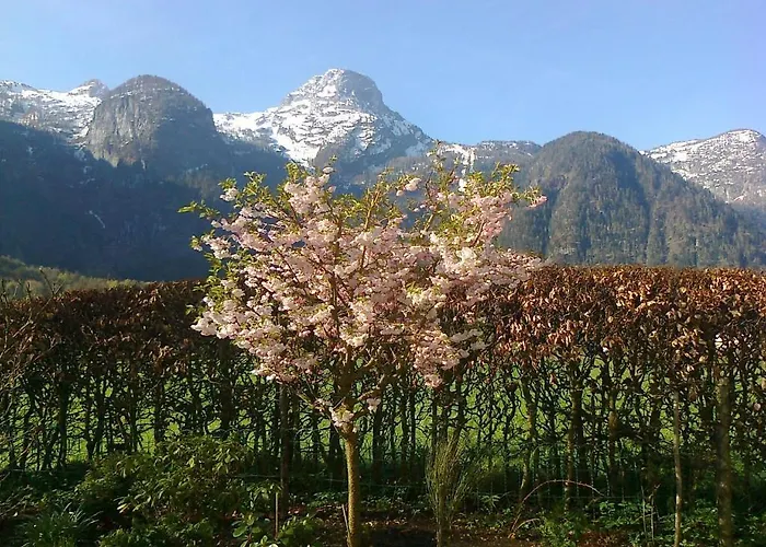 Haus Fratnik * Obertraun