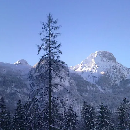 Haus Fratnik * オーバートラウン