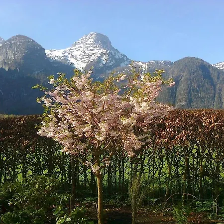 Haus Fratnik * オーバートラウン